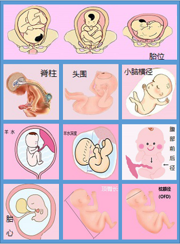 微信图片_20200413180936.png